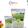 Organic all purpose fertilizer for vegetables and fruits