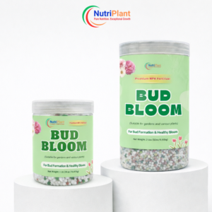 (JAR) BUD BLOOM-BUD FORMATION & HEALTHY BLOOMS