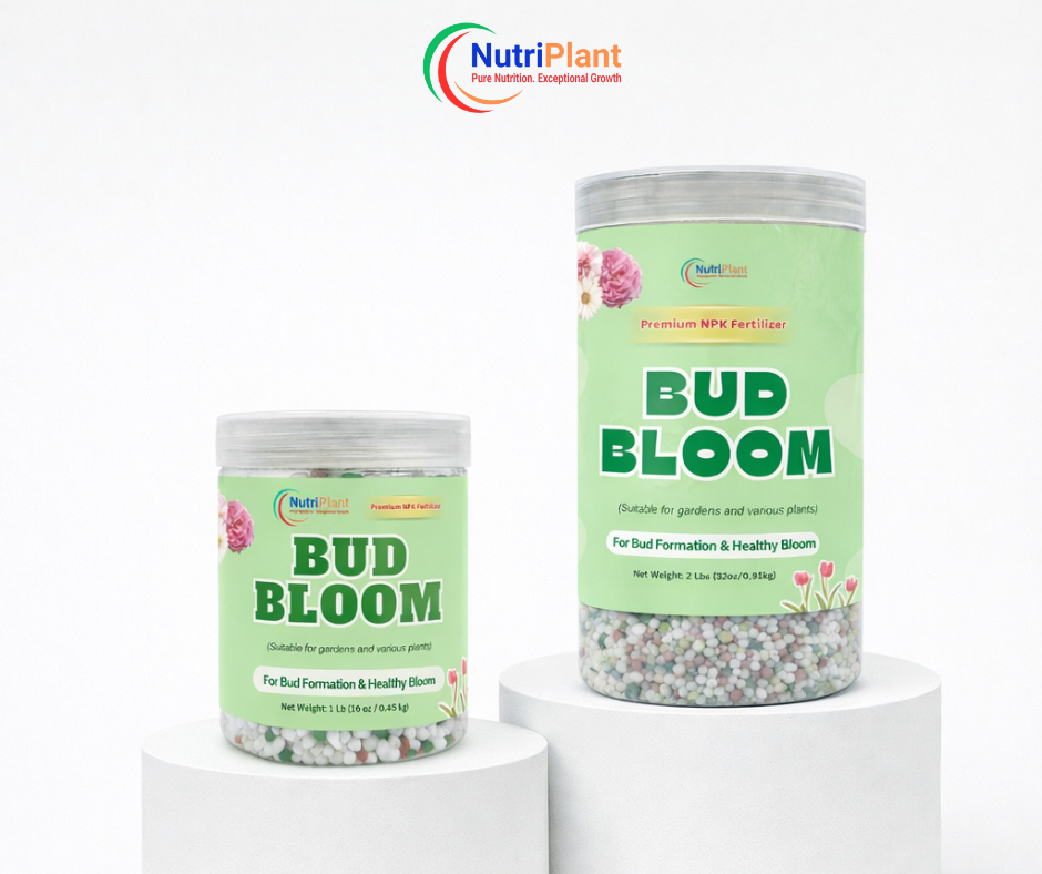 (JAR) BUD BLOOM-BUD FORMATION & HEALTHY BLOOMS
