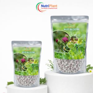 (ZIP BAG)BUD BLOOM-BUD FORMATION & HEALTHY BLOOMS