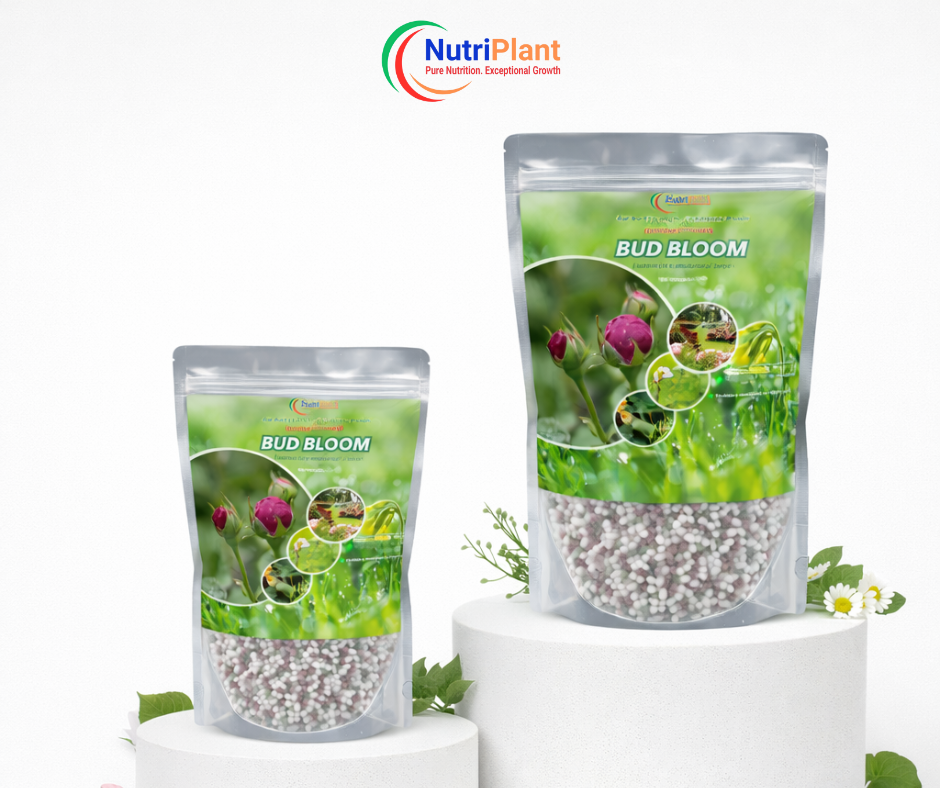 (ZIP BAG)BUD BLOOM-BUD FORMATION & HEALTHY BLOOMS