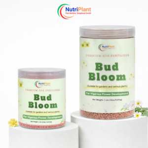 (JAR) BUD BLOOM – VIGOROUS FLOWER DEVELOPMENT