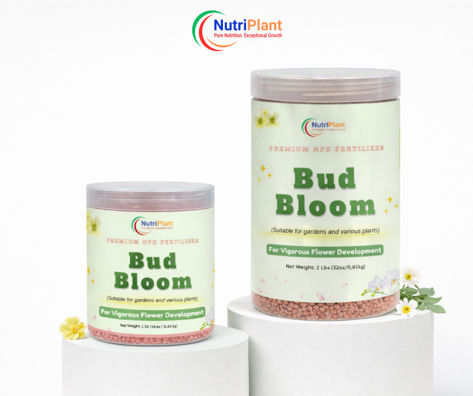 (JAR) BUD BLOOM – VIGOROUS FLOWER DEVELOPMENT