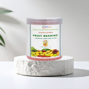 Fruit Bearing – Healthy Fruit Development