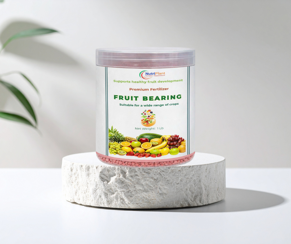 Fruit Bearing – Healthy Fruit Development